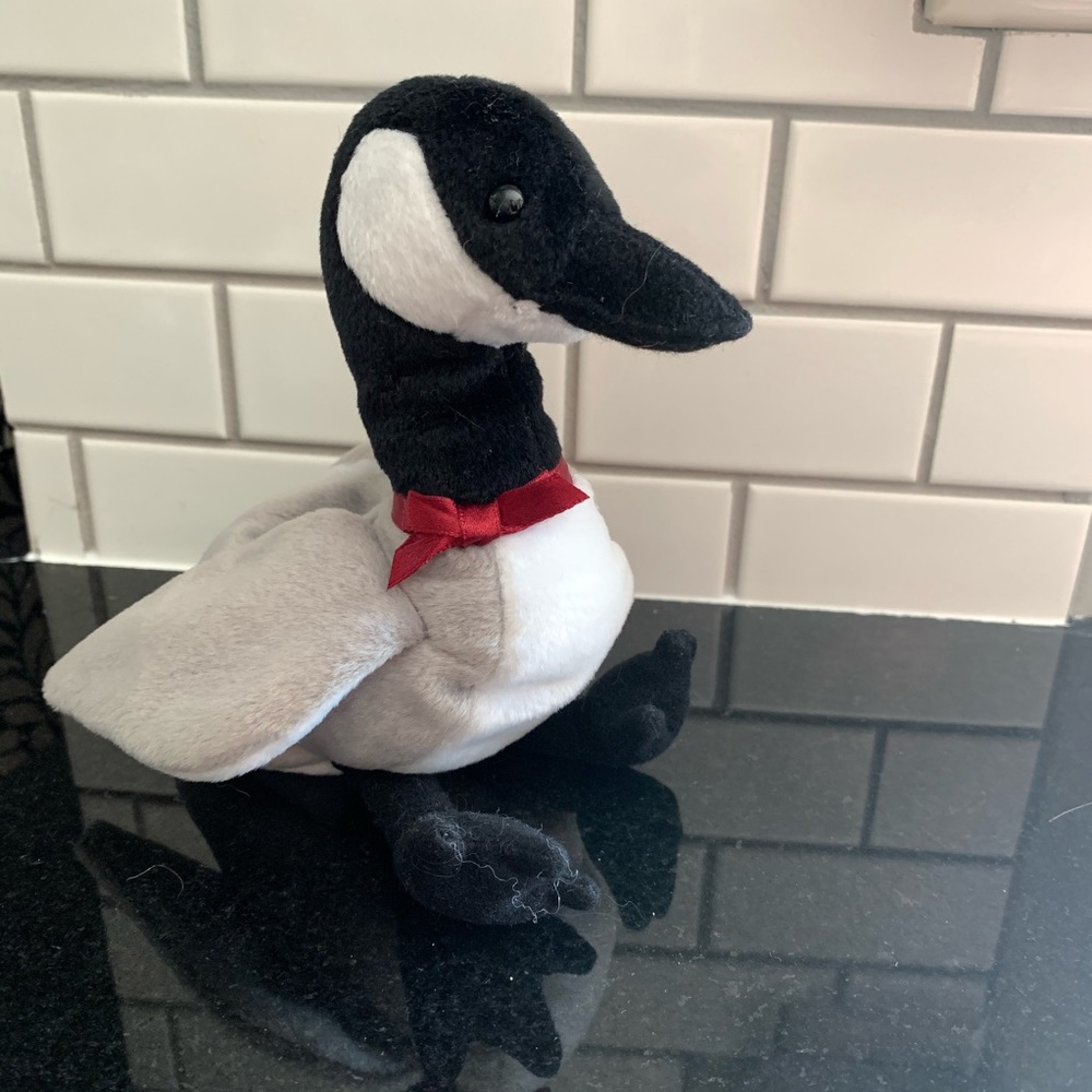 Loosy beanie baby